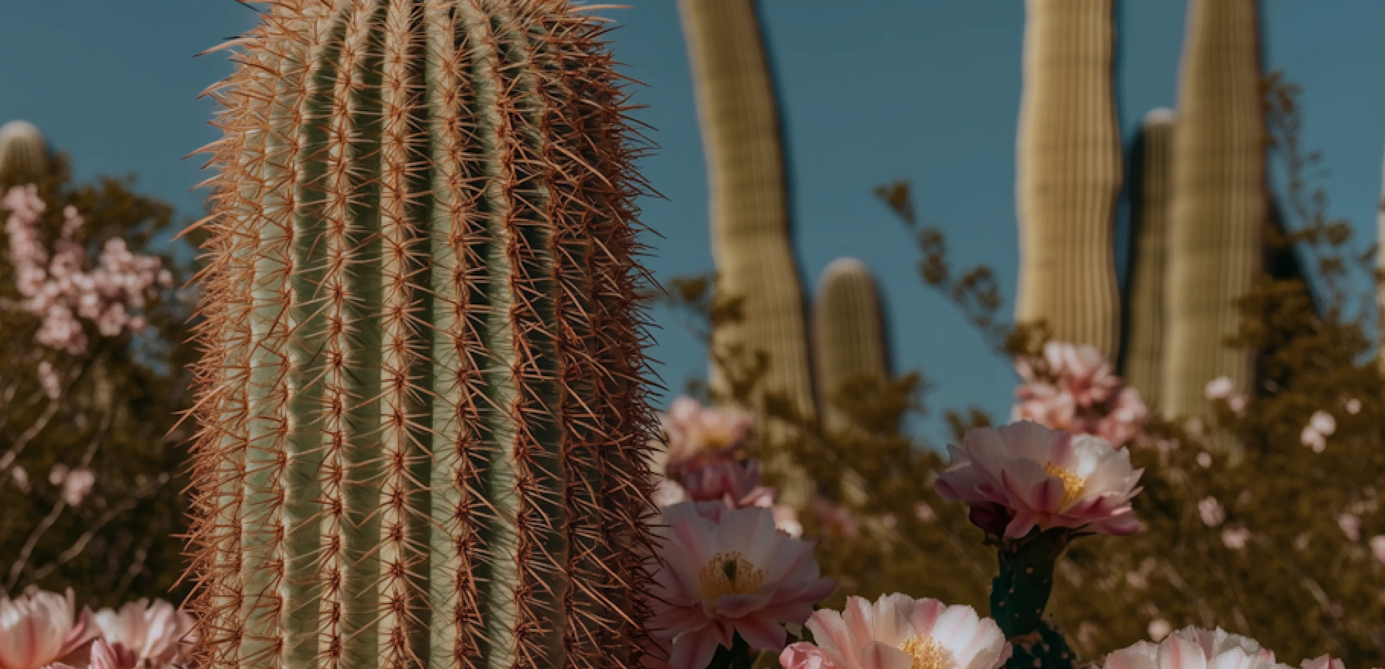 Blog Banner