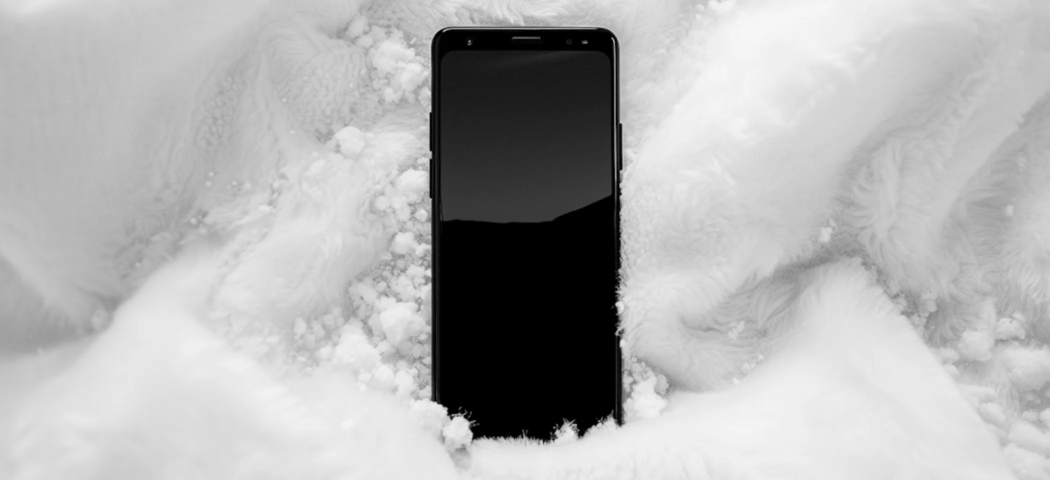 Portfolio Banner